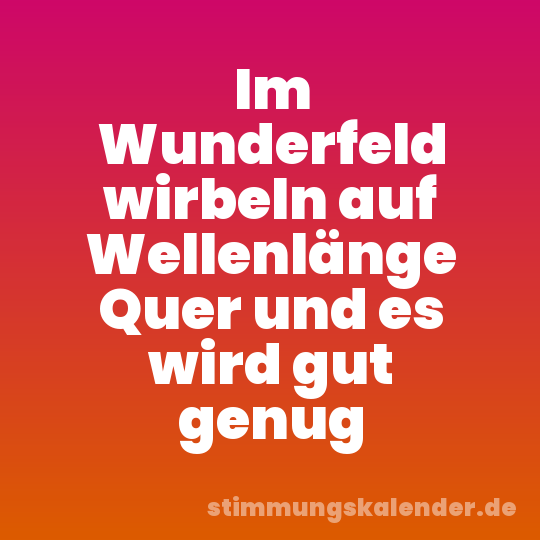 Im Wunderfeld wirbeln auf Wellenlänge Quer und es wird gut genug