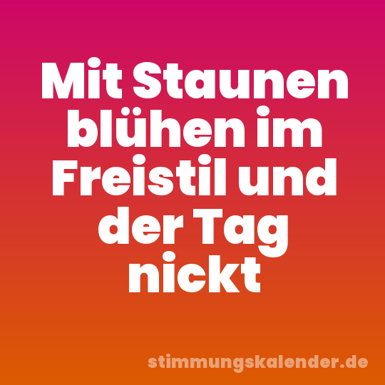 Mit Staunen blühen im Freistil und der Tag nickt