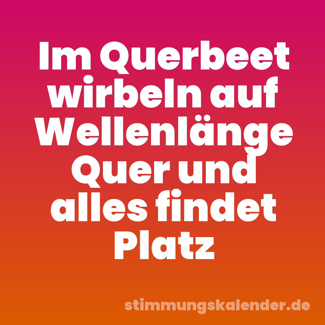 Im Querbeet wirbeln auf Wellenlänge Quer und alles findet Platz