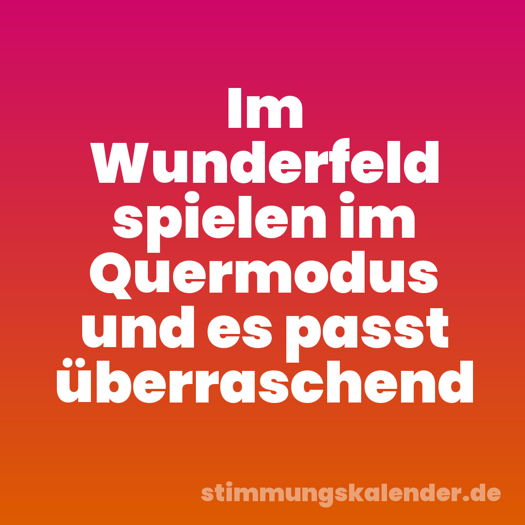 Im Wunderfeld spielen im Quermodus und es passt überraschend