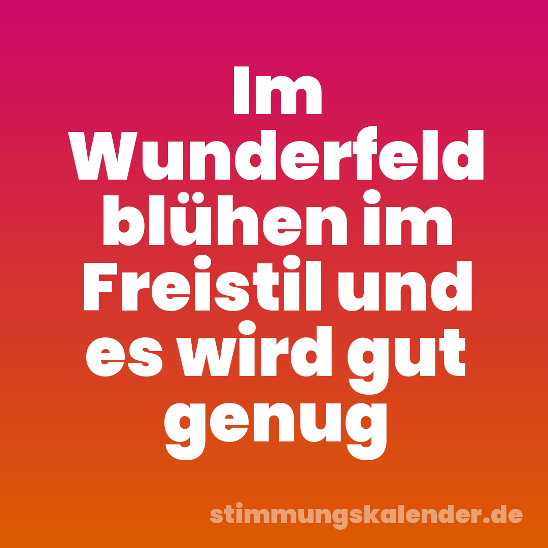 Im Wunderfeld blühen im Freistil und es wird gut genug