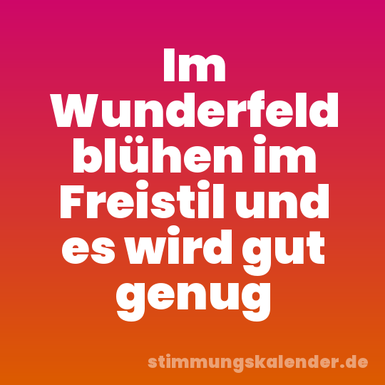 Im Wunderfeld blühen im Freistil und es wird gut genug