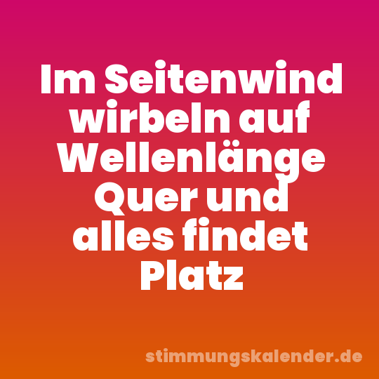 Im Seitenwind wirbeln auf Wellenlänge Quer und alles findet Platz