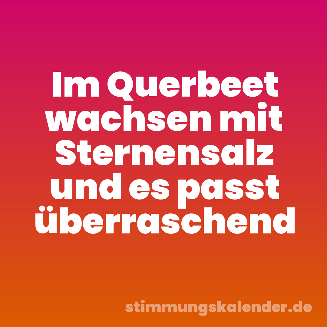 Im Querbeet wachsen mit Sternensalz und es passt überraschend