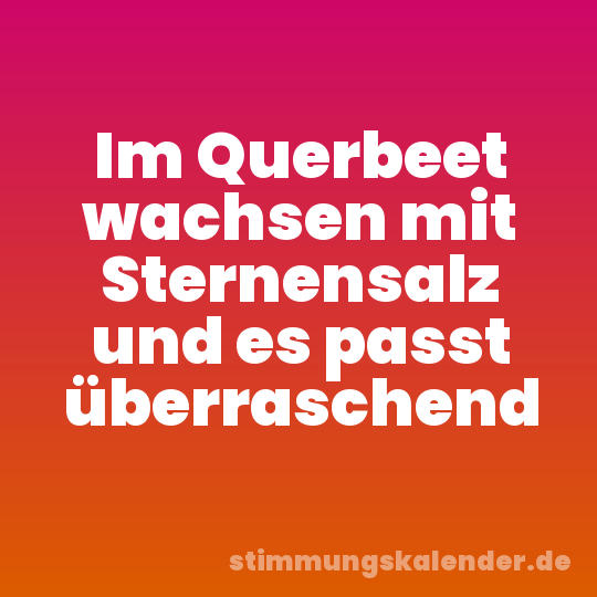 Im Querbeet wachsen mit Sternensalz und es passt überraschend