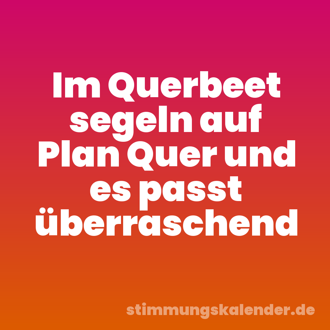 Im Querbeet segeln auf Plan Quer und es passt überraschend