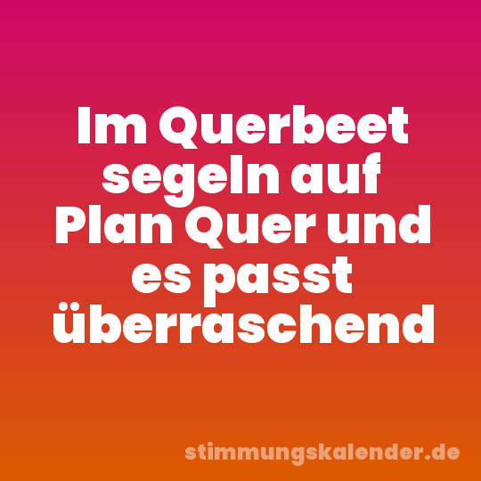 Im Querbeet segeln auf Plan Quer und es passt überraschend