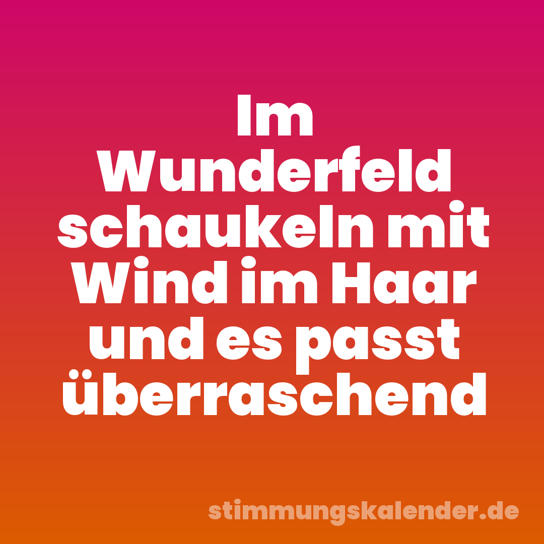 Im Wunderfeld schaukeln mit Wind im Haar und es passt überraschend