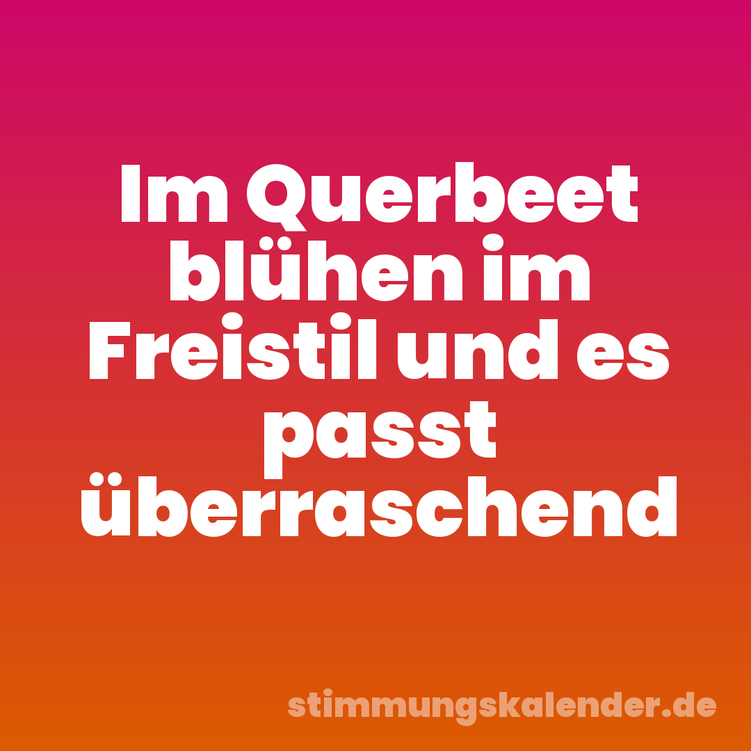 Im Querbeet blühen im Freistil und es passt überraschend