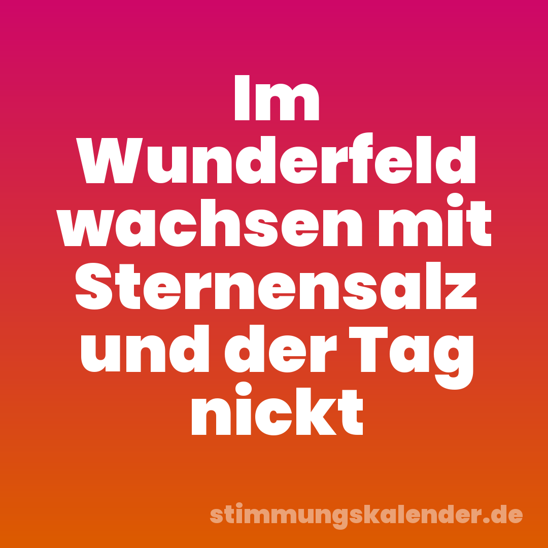 Im Wunderfeld wachsen mit Sternensalz und der Tag nickt