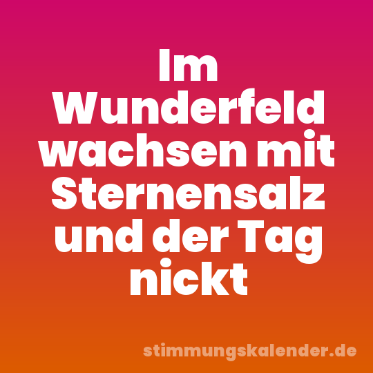 Im Wunderfeld wachsen mit Sternensalz und der Tag nickt