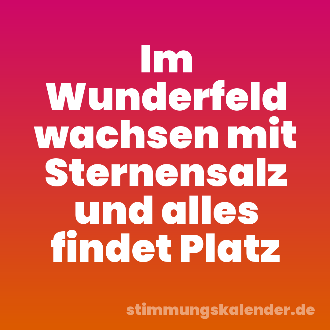 Im Wunderfeld wachsen mit Sternensalz und alles findet Platz