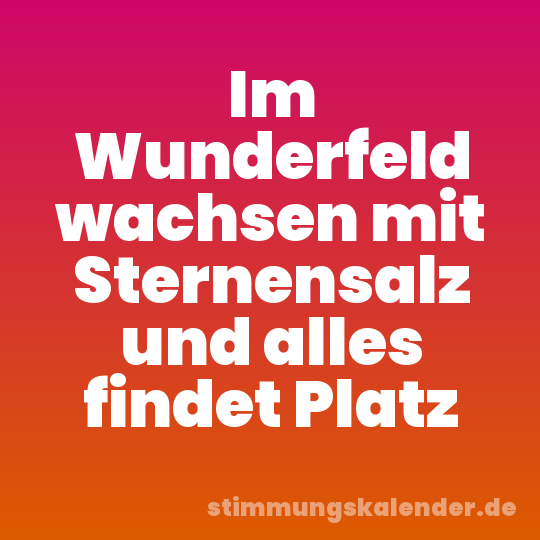 Im Wunderfeld wachsen mit Sternensalz und alles findet Platz