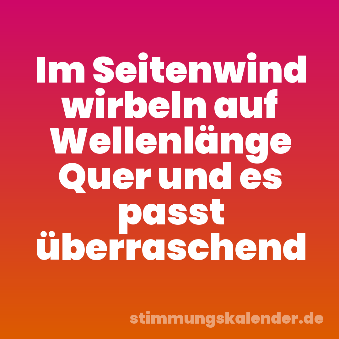 Im Seitenwind wirbeln auf Wellenlänge Quer und es passt überraschend