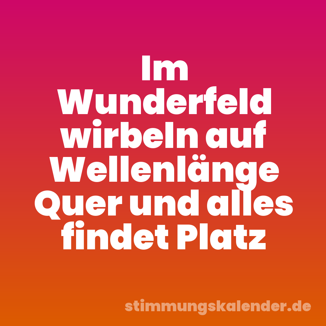 Im Wunderfeld wirbeln auf Wellenlänge Quer und alles findet Platz