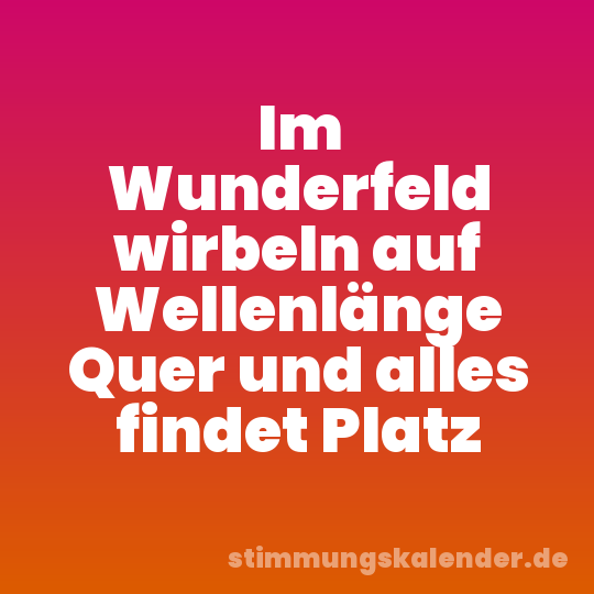 Im Wunderfeld wirbeln auf Wellenlänge Quer und alles findet Platz