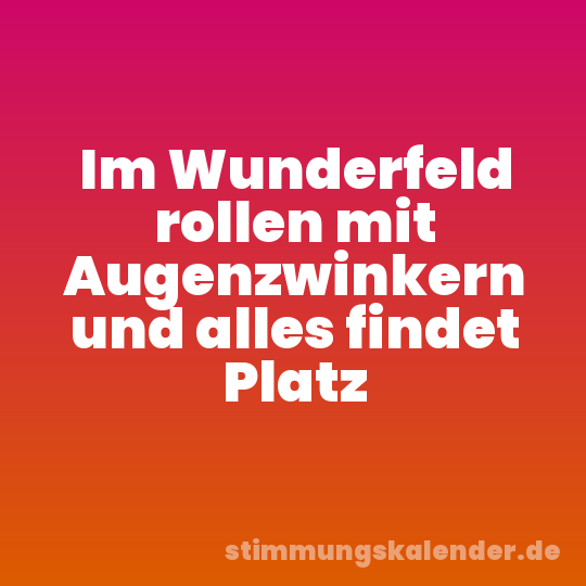 Im Wunderfeld rollen mit Augenzwinkern und alles findet Platz