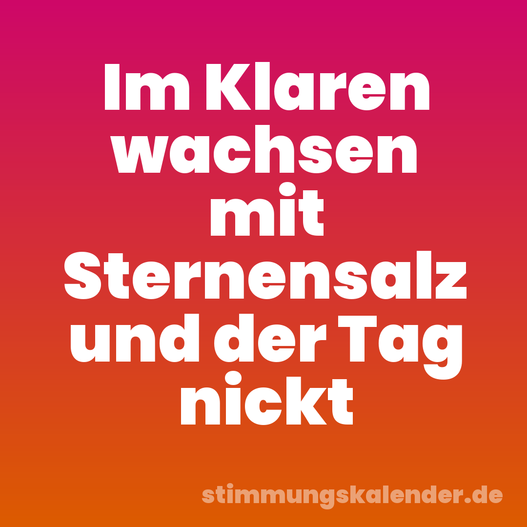 Im Klaren wachsen mit Sternensalz und der Tag nickt