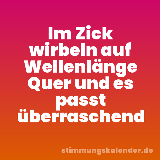 Im Zick wirbeln auf Wellenlänge Quer und es passt überraschend