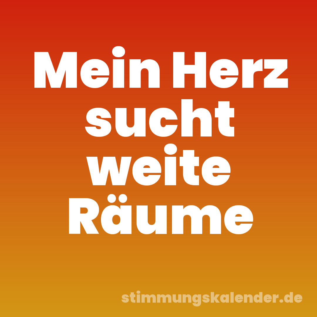 Mein Herz sucht weite Räume