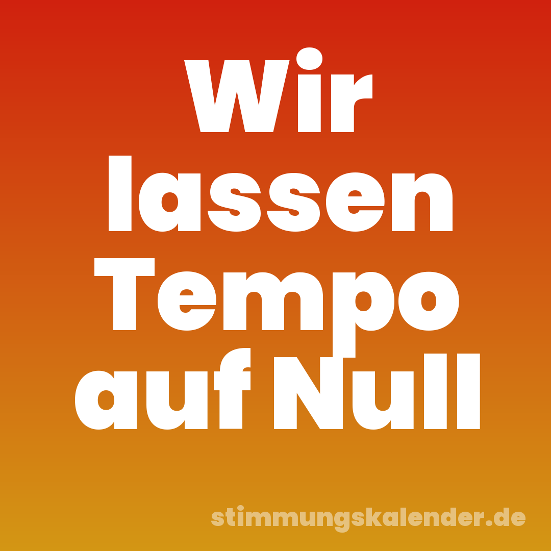 Wir lassen Tempo auf Null