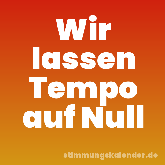 Wir lassen Tempo auf Null