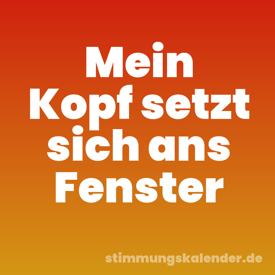 Mein Kopf setzt sich ans Fenster
