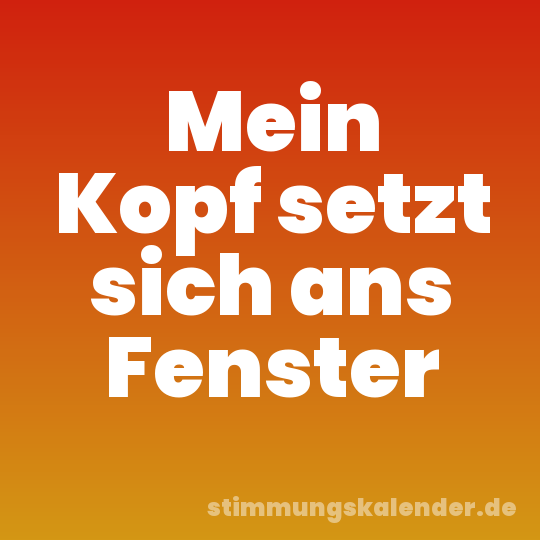 Mein Kopf setzt sich ans Fenster