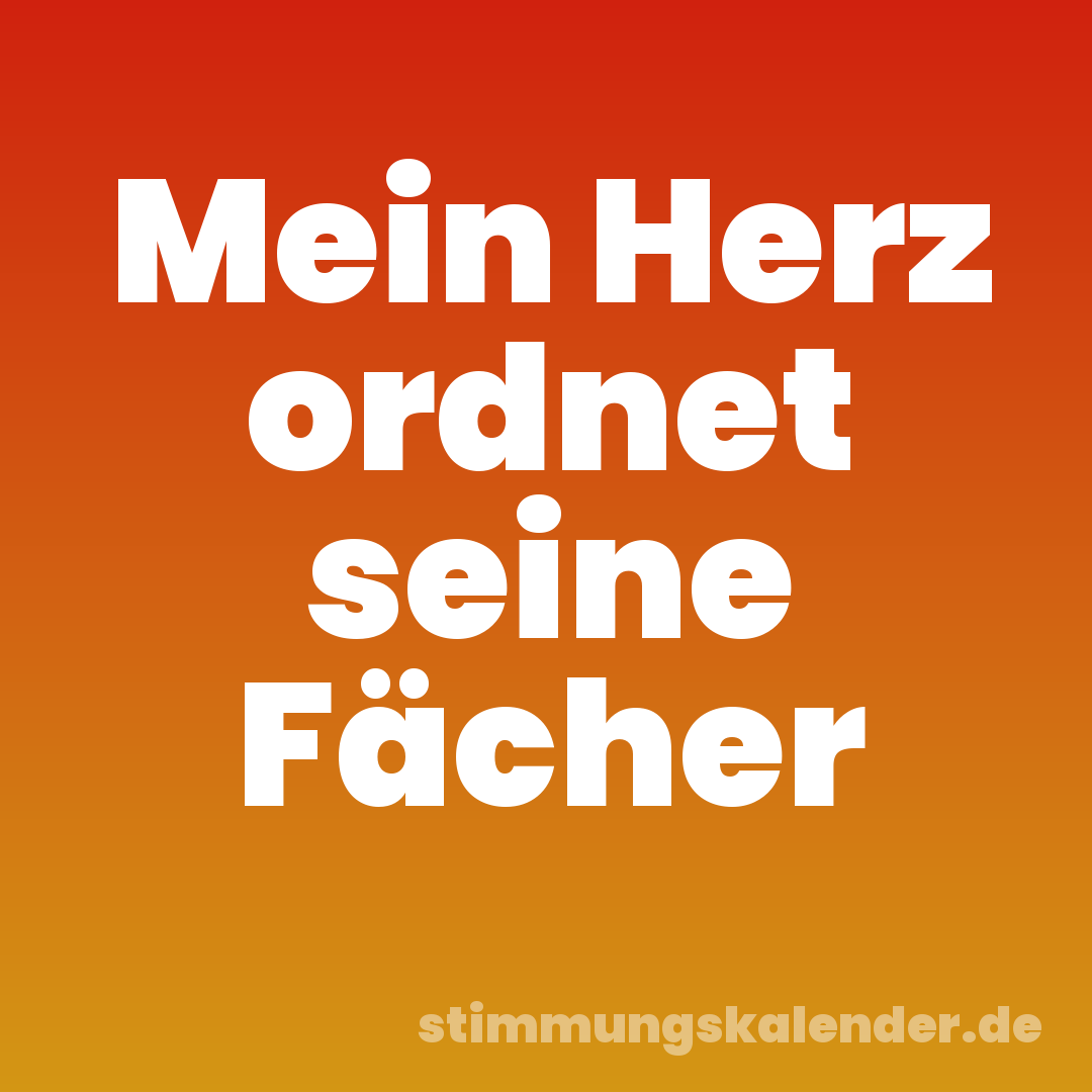 Mein Herz ordnet seine Fächer