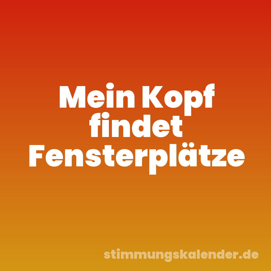 Mein Kopf findet Fensterplätze