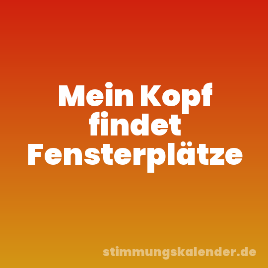 Mein Kopf findet Fensterplätze