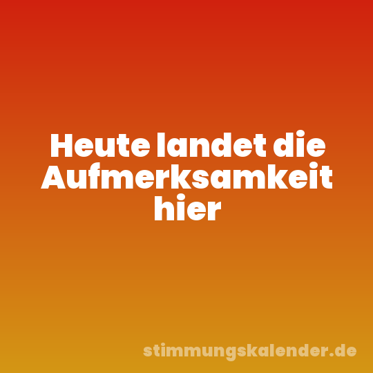 Heute landet die Aufmerksamkeit hier