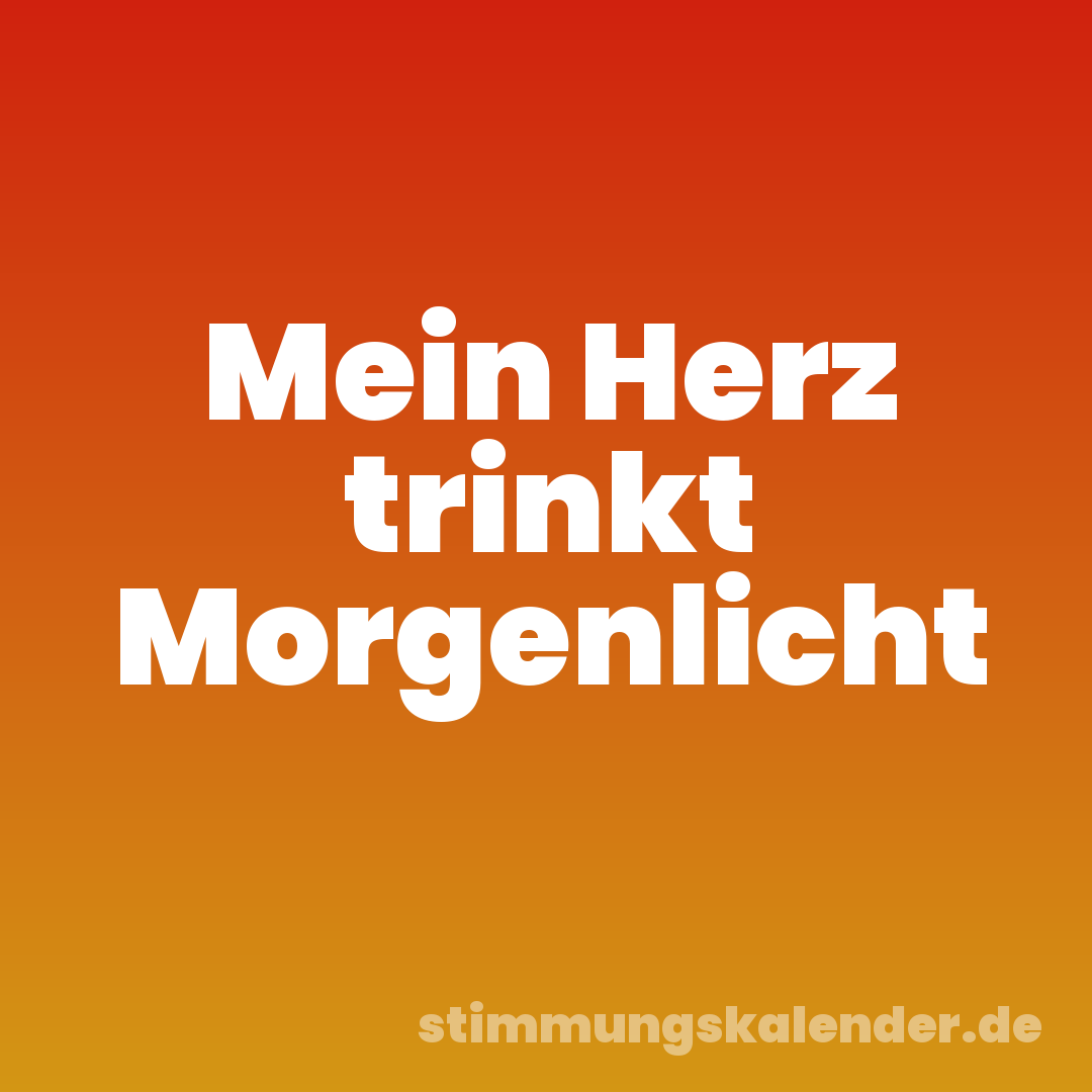 Mein Herz trinkt Morgenlicht