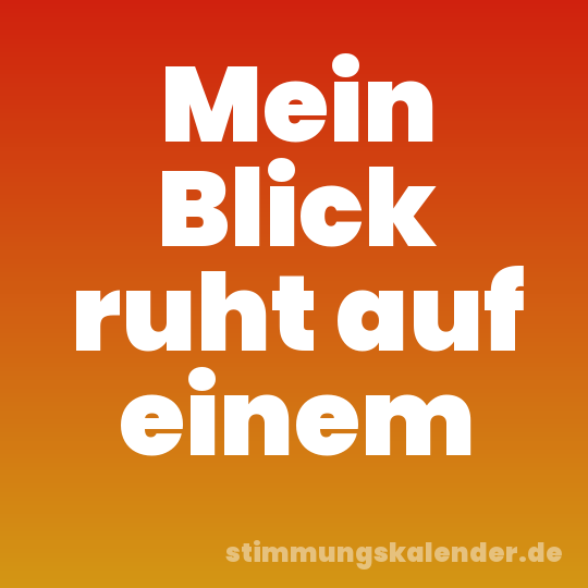 Mein Blick ruht auf einem