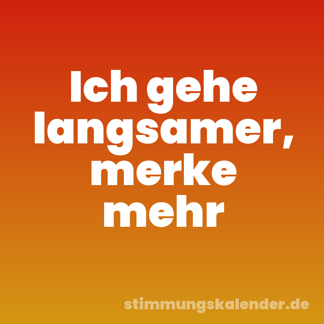 Ich gehe langsamer, merke mehr