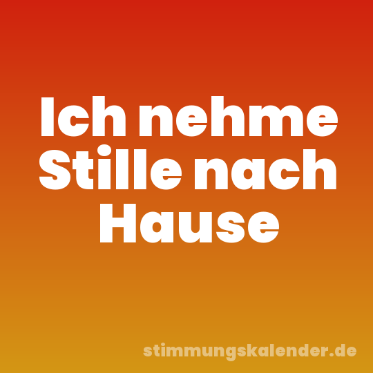 Ich nehme Stille nach Hause