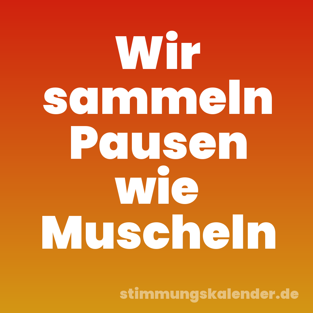 Wir sammeln Pausen wie Muscheln