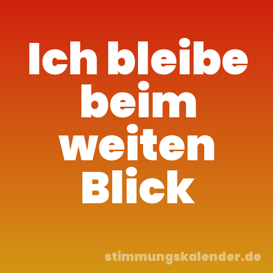 Ich bleibe beim weiten Blick