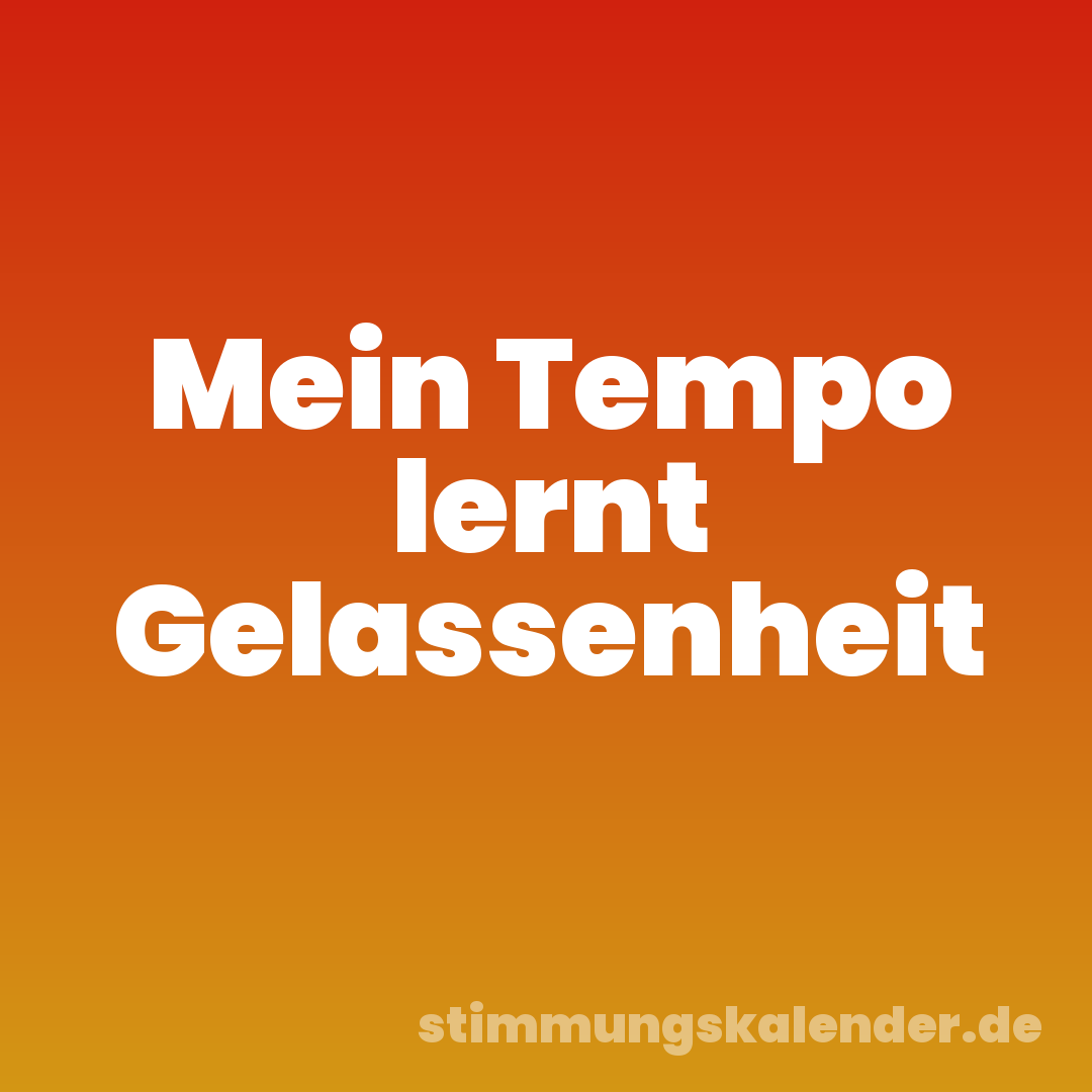 Mein Tempo lernt Gelassenheit