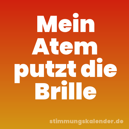 Mein Atem putzt die Brille
