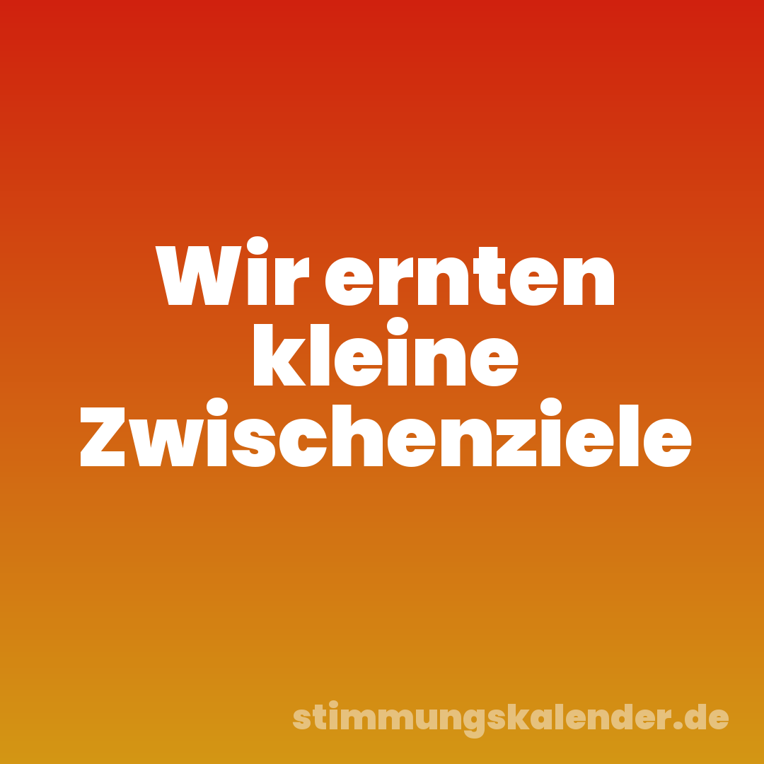 Wir ernten kleine Zwischenziele