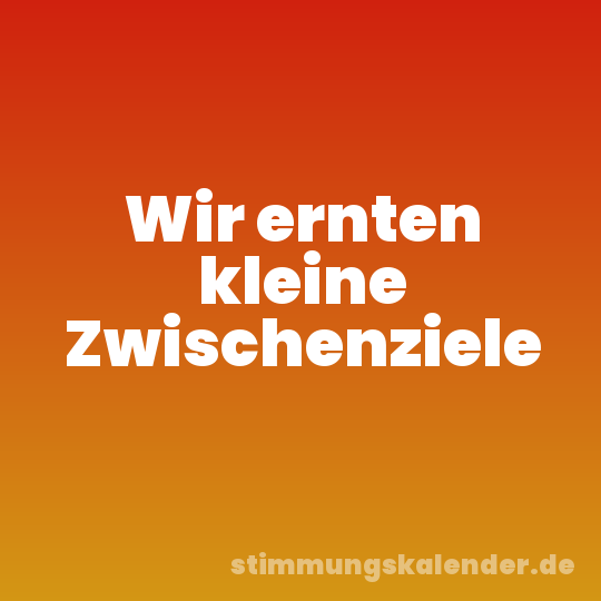 Wir ernten kleine Zwischenziele