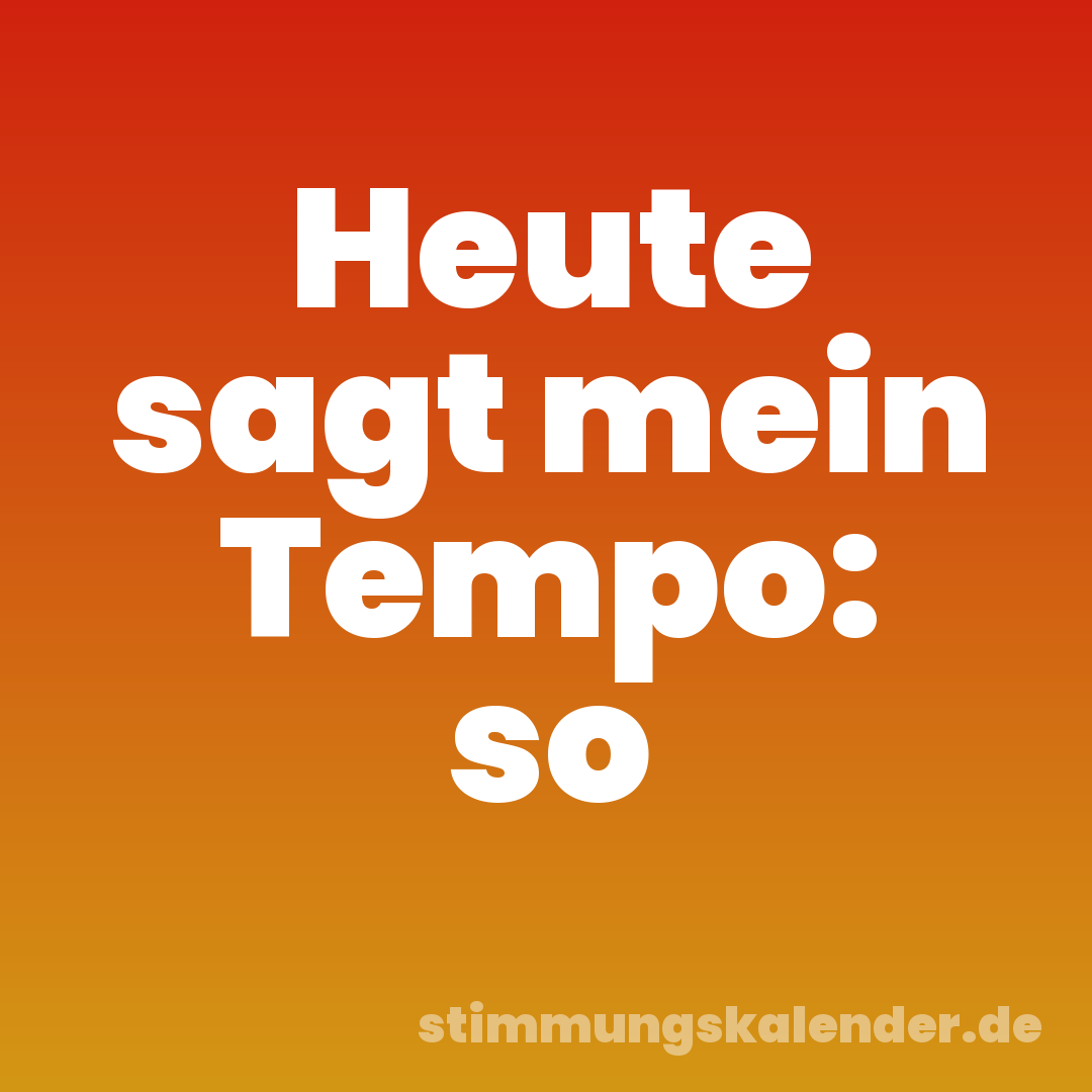 Heute sagt mein Tempo: so