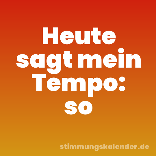 Heute sagt mein Tempo: so