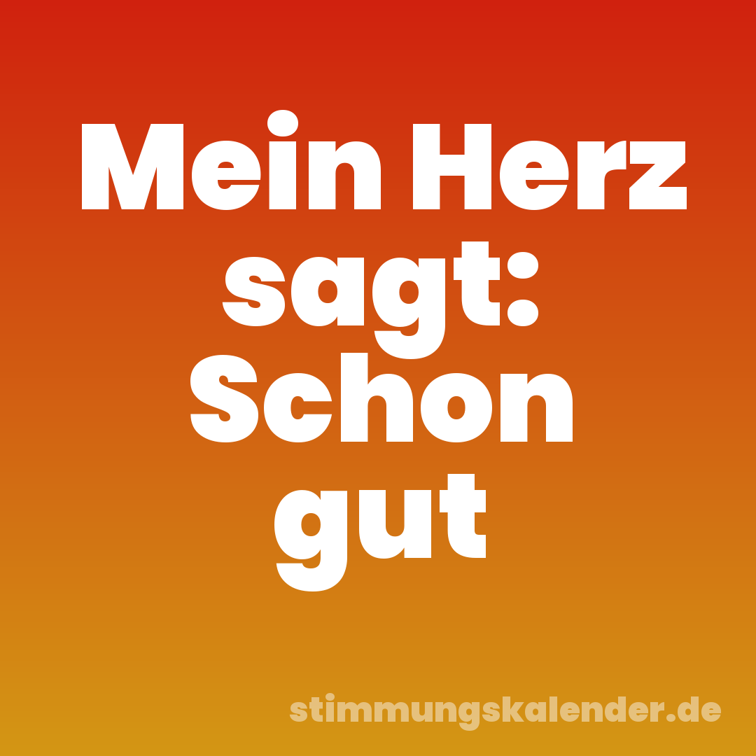Mein Herz sagt: Schon gut