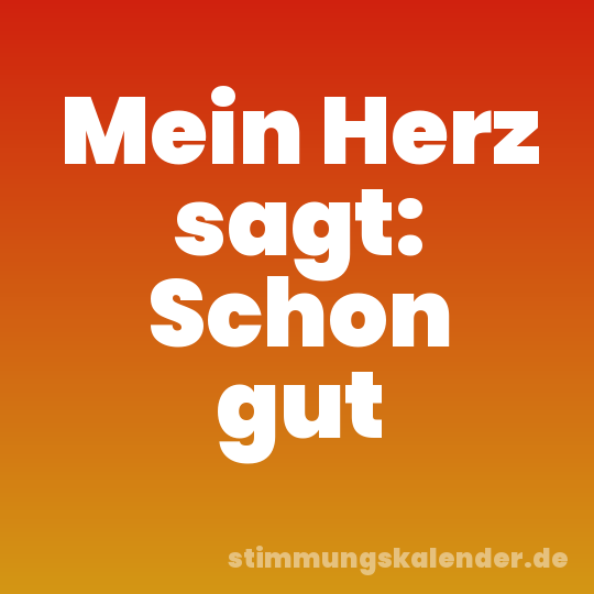 Mein Herz sagt: Schon gut