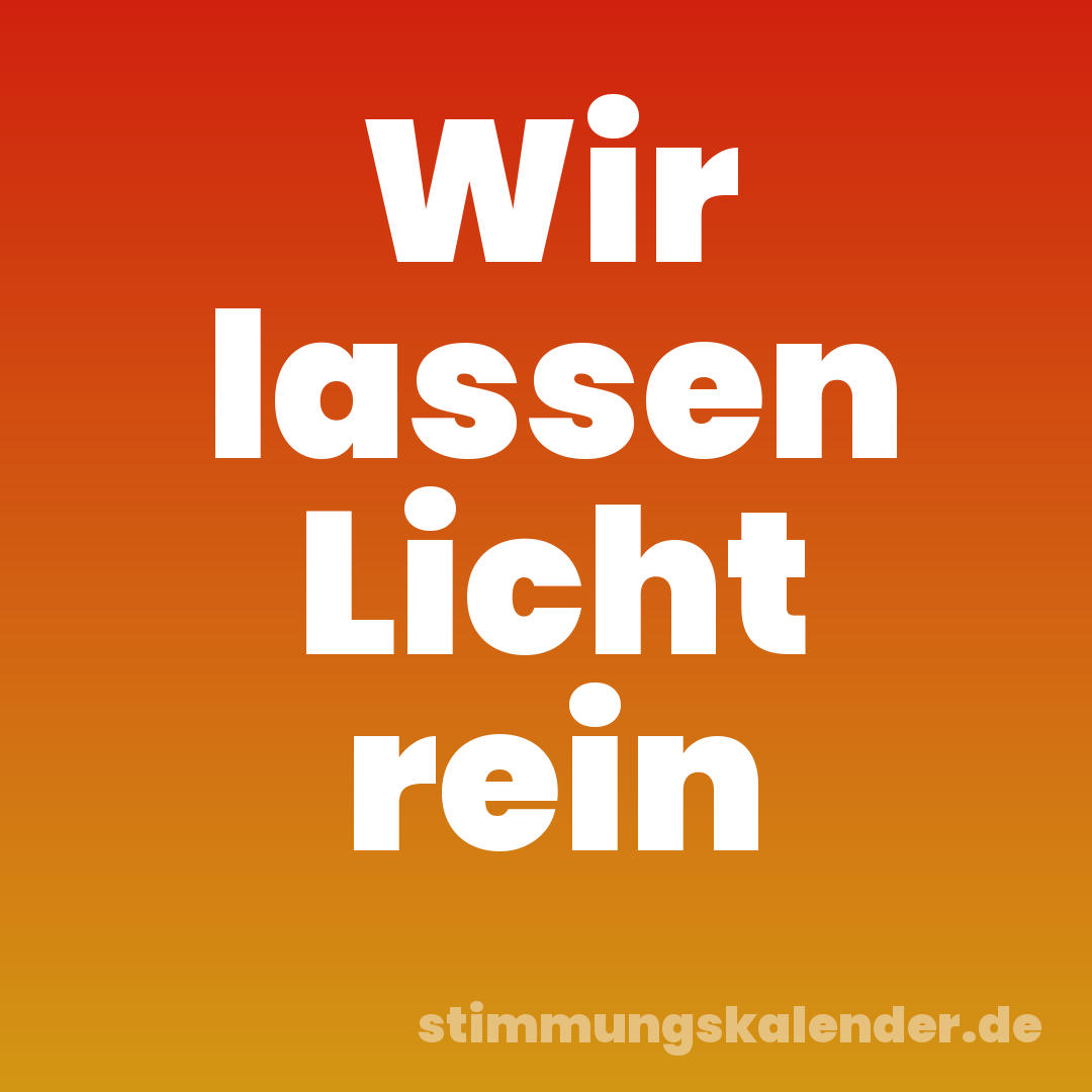 Wir lassen Licht rein