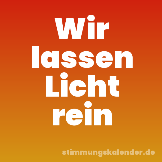 Wir lassen Licht rein