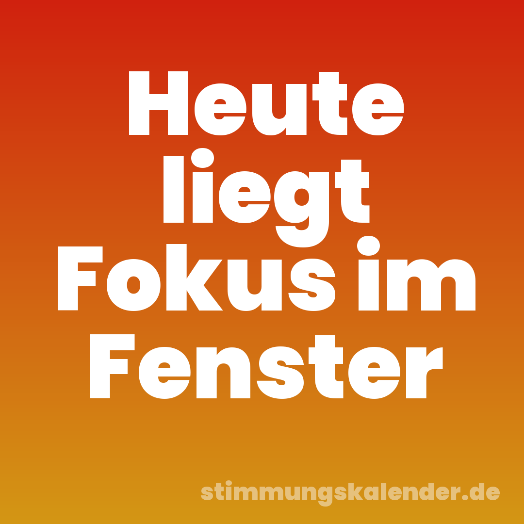 Heute liegt Fokus im Fenster
