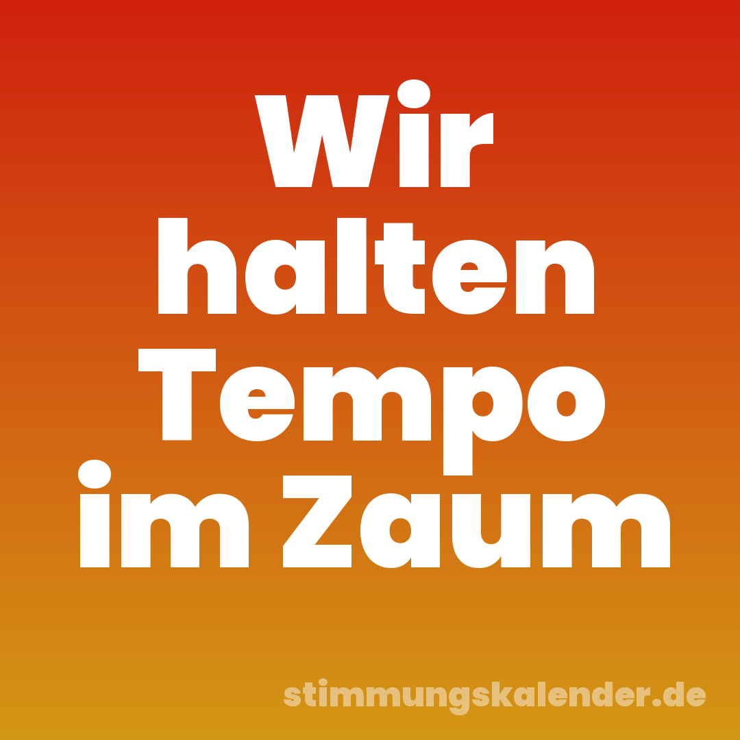 Wir halten Tempo im Zaum